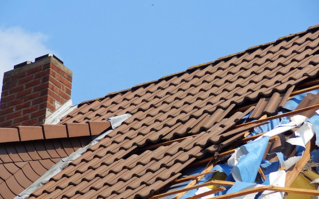 Insurance Adjuster Roof Inspections