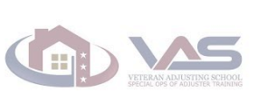 vas logo